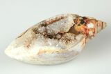 Chalcedony Replaced Gastropod With Sparkly Quartz - India #188780-1